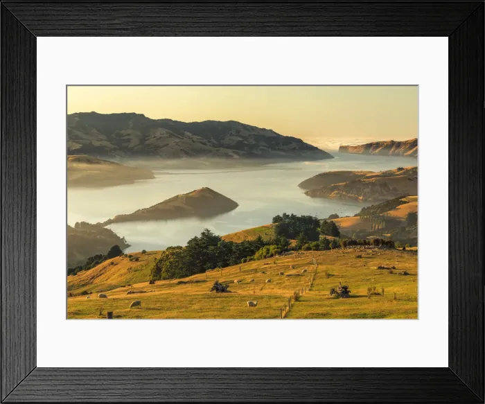 Framed Print : Banks Peninsula at sunrise, Canterbury, South Island, New Zealand, Pacific Framed Print : Banks Peninsula at sunrise, Canterbury, South Island, New Zealand, Pacific