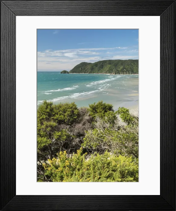 Framed Print : Wainui Bay, Golden Bay, Tasman, South Island, New Zealand, Pacific Framed Print : Wainui Bay, Golden Bay, Tasman, South Island, New Zealand, Pacific
