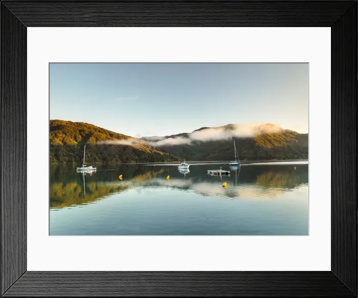 Framed Print : Queen Charlotte Sound and Momorangi Bay at sunrise, Marlborough Sounds, Picton Framed Print : Queen Charlotte Sound and Momorangi Bay at sunrise, Marlborough Sounds, Picton