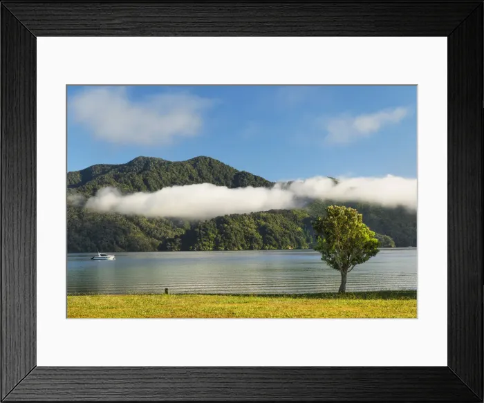 Framed Print : Ngakuta Bay, Marlborough Sounds, Picton, South Island, New Zealand, Pacific Framed Print : Ngakuta Bay, Marlborough Sounds, Picton, South Island, New Zealand, Pacific
