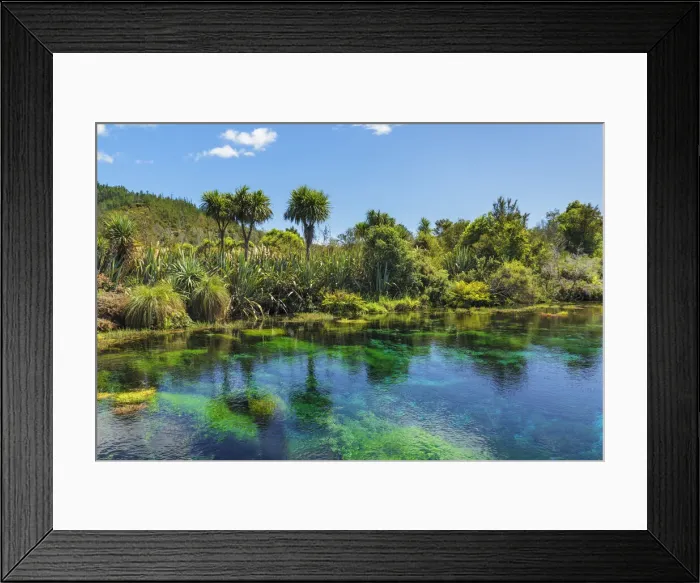 Framed Print : Te Waikoropupu Springs (Pupu Springs), Spring sacred to the Maoris, Golden Bay, Tasman Framed Print : Te Waikoropupu Springs (Pupu Springs), Spring sacred to the Maoris, Golden Bay, Tasman