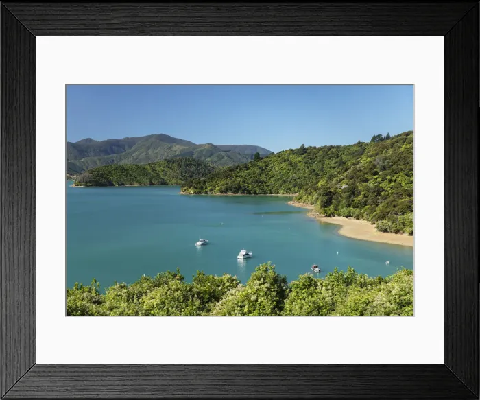 Framed Print : Coastal landscape at Kenepuru Sound, Queen Charlotte Track, Marlborough Sounds, Picton Framed Print : Coastal landscape at Kenepuru Sound, Queen Charlotte Track, Marlborough Sounds, Picton