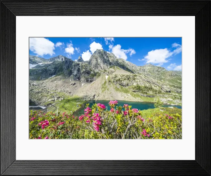 Framed Print : Summer sky over mountain peaks and rhododendrons framing lake Zancone, Orobie Alps Framed Print : Summer sky over mountain peaks and rhododendrons framing lake Zancone, Orobie Alps