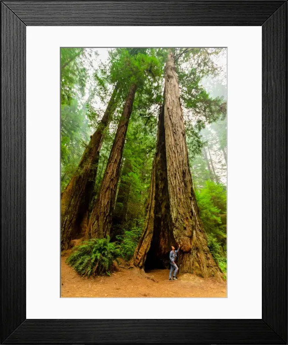Framed Print : Woman exploring Mount Shasta Forest, California, United States of America, North America Framed Print : Woman exploring Mount Shasta Forest, California, United States of America, North America