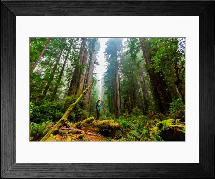Framed Print : Woman exploring Mount Shasta Forest, California, United States of America, North America Framed Print : Woman exploring Mount Shasta Forest, California, United States of America, North America