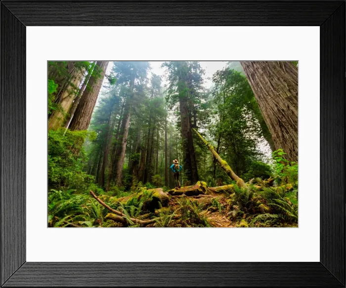 Framed Print : Woman exploring Mount Shasta Forest, California, United States of America, North America Framed Print : Woman exploring Mount Shasta Forest, California, United States of America, North America