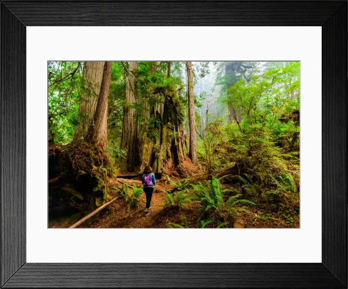 Framed Print : Woman exploring Mount Shasta Forest, California, United States of America, North America Framed Print : Woman exploring Mount Shasta Forest, California, United States of America, North America