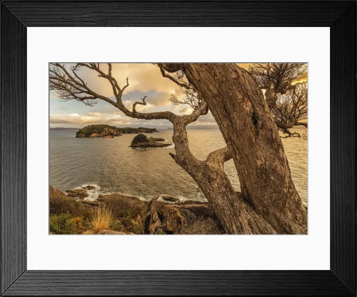 Framed Print : Tepare Point Reserve, Coromandel Peninsula, Waikato, North Island, New Zealand, Pacific Framed Print : Tepare Point Reserve, Coromandel Peninsula, Waikato, North Island, New Zealand, Pacific
