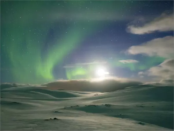 Snowy landscape lit by moon in the starry sky during the Northern Lights (Aurora Borealis