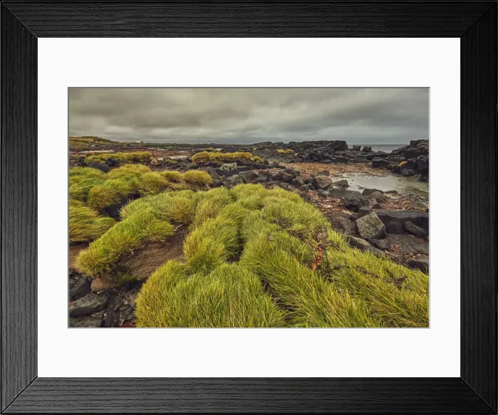 Framed Print : A low-lying basalt lava shoreline at Kalfatjorn, near Keflavik, Iceland, Polar Regions Framed Print : A low-lying basalt lava shoreline at Kalfatjorn, near Keflavik, Iceland, Polar Regions