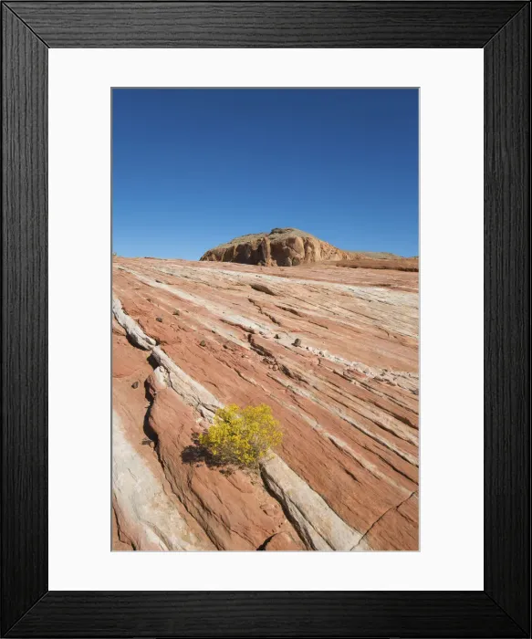 Framed Print : View across red slickrock from the Fire Wave Trail, Gibraltar Rock in background Framed Print : View across red slickrock from the Fire Wave Trail, Gibraltar Rock in background