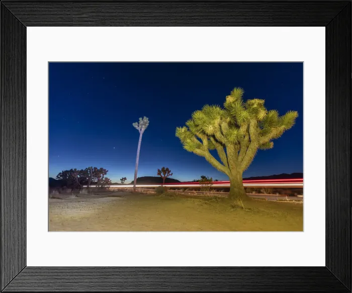 Framed Print : Joshua tree (Yucca brevifolia), at night in Joshua Tree National Park, Mojave Desert Framed Print : Joshua tree (Yucca brevifolia), at night in Joshua Tree National Park, Mojave Desert