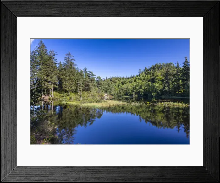 Framed Print : Loch Ard, Loch Lomond and Trossachs National Park, Scotland, United Kingdom, Europe