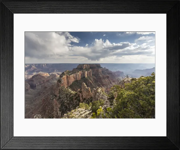 Framed Print : View from Cape Royal Point of the north rim of Grand Canyon National Park Framed Print : View from Cape Royal Point of the north rim of Grand Canyon National Park