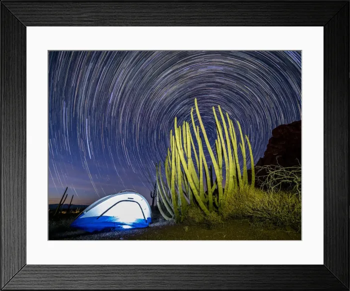 Framed Print : Organ pipe cactus at night with Geminid Meteor Shower, Organ Pipe Cactus National