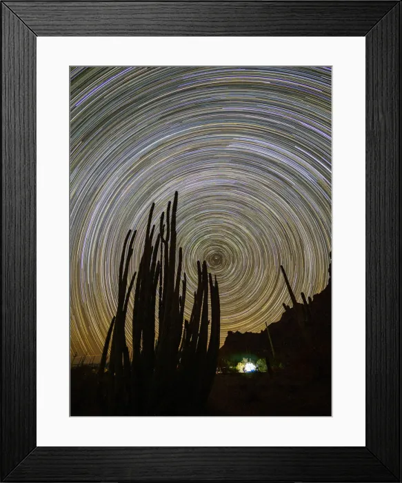 Framed Print : Organ pipe cactus (Stenocereus thurberi) at night, Organ Pipe Cactus National Monument Framed Print : Organ pipe cactus (Stenocereus thurberi) at night, Organ Pipe Cactus National Monument