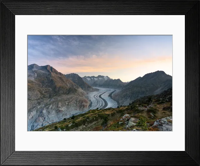 Framed Print : Aletsch Glacier at sunrise seen from Hohfluh viewpoint, Bernese Alps, Riederalp Framed Print : Aletsch Glacier at sunrise seen from Hohfluh viewpoint, Bernese Alps, Riederalp