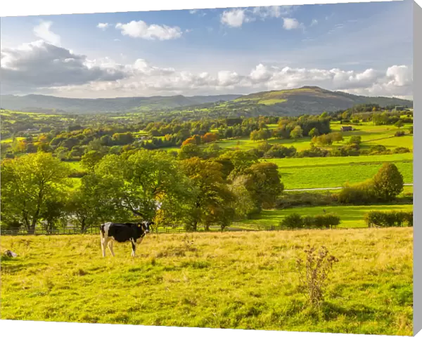 View of Hope Valley and countryside autumnal colours, Derbyshire Peak District