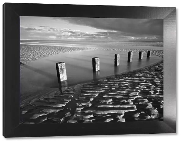 Rotting wooden posts of old sea defences on Winchelsea beach at low tide, Winchelsea