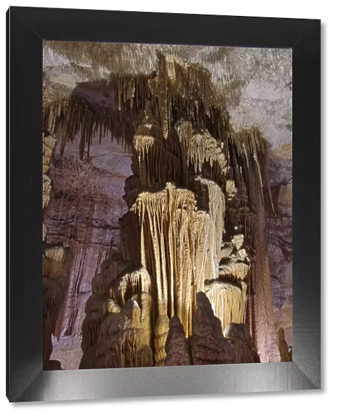 Ornate columns formed by many hanging stalactites and rising stalagmites coalescing