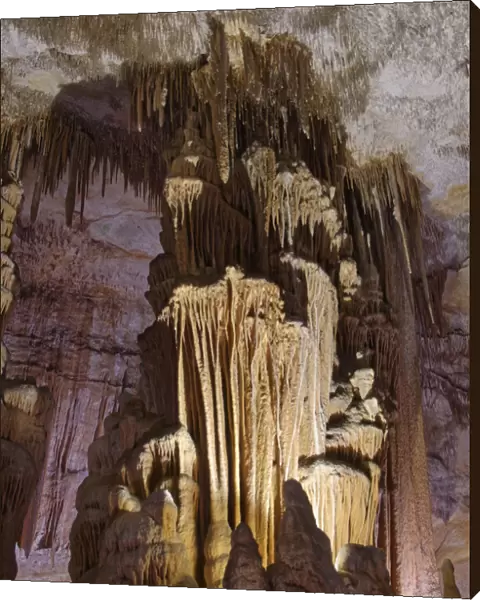 Ornate columns formed by many hanging stalactites and rising stalagmites coalescing
