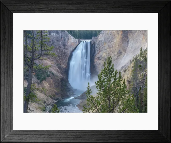 Framed Print : Lower Falls of the Grand Canyon framed in trees, Yellowstone National Park Framed Print : Lower Falls of the Grand Canyon framed in trees, Yellowstone National Park