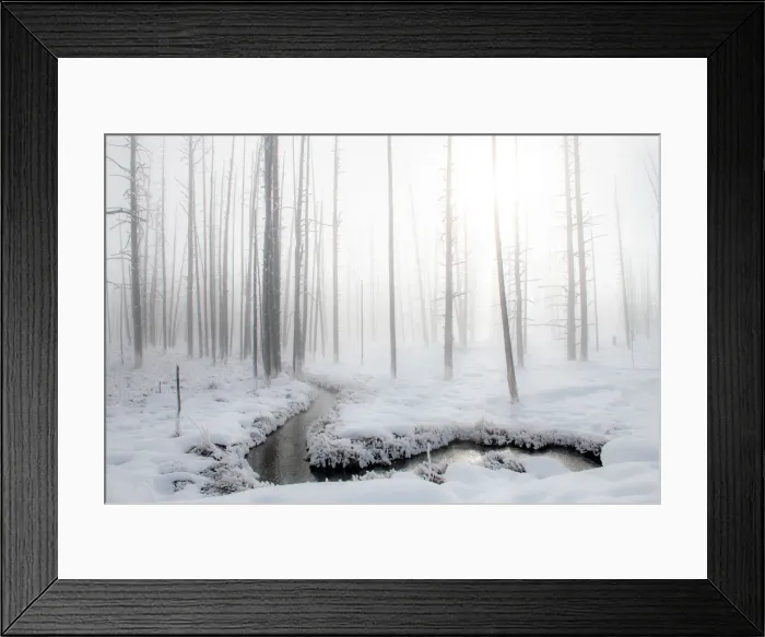 Framed Print : Snowscape with stream and trees in the fog, Yellowstone National Park Framed Print : Snowscape with stream and trees in the fog, Yellowstone National Park