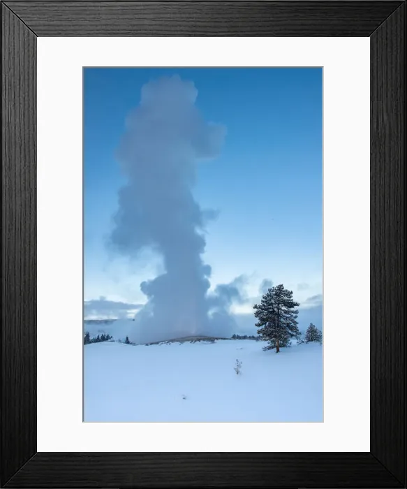 Framed Print : Evening eruption of Old Faithful geyser with tree and snow, Yellowstone National Park Framed Print : Evening eruption of Old Faithful geyser with tree and snow, Yellowstone National Park