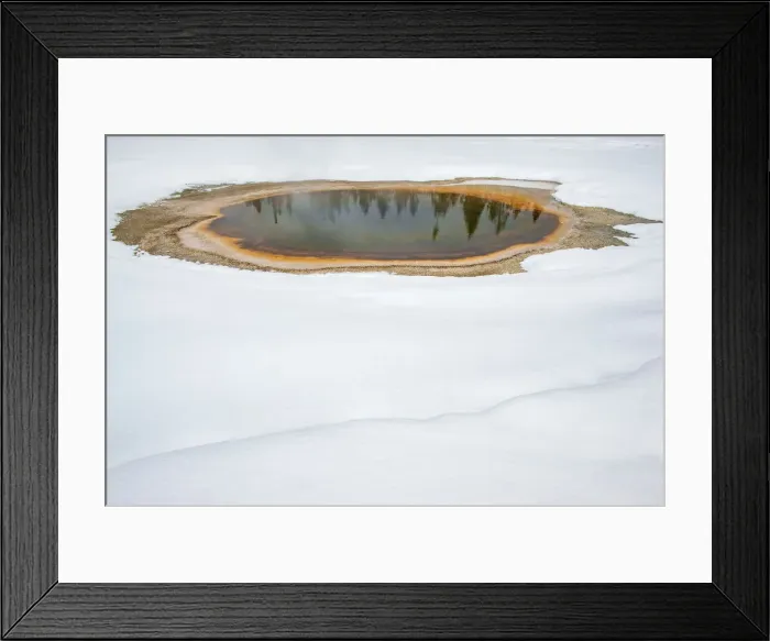 Framed Print : Trees reflected in thermal feature in the snow, Yellowstone National Park Framed Print : Trees reflected in thermal feature in the snow, Yellowstone National Park