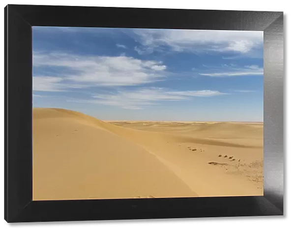 Sand dune in the Tenere Desert, Sahara, Niger, Africa