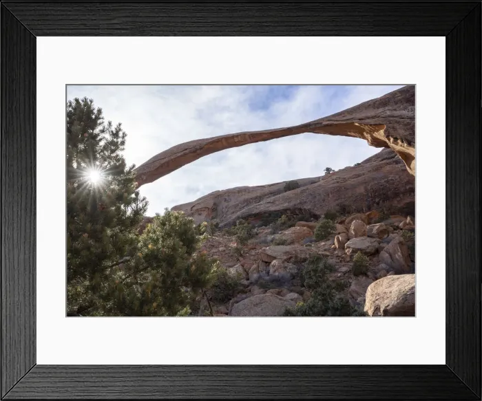 Framed Print : Landscape Arch with sunburst through tree, Arches National Park, Utah Framed Print : Landscape Arch with sunburst through tree, Arches National Park, Utah