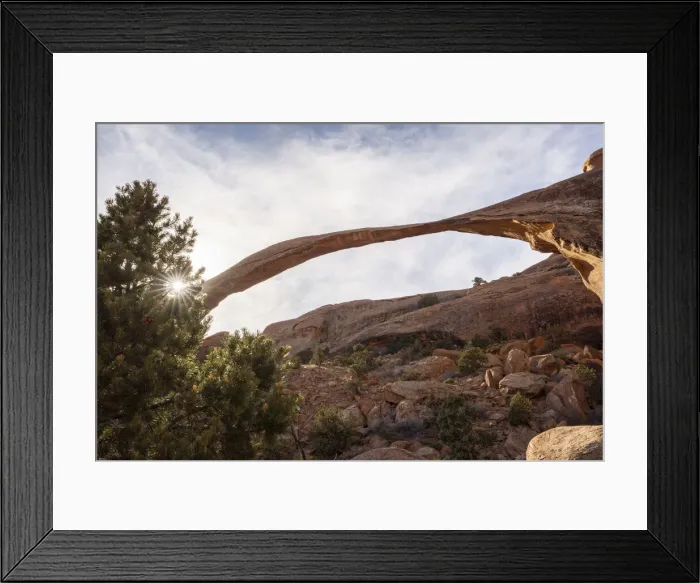 Framed Print : Landscape Arch with sunburst through tree, Arches National Park, Utah Framed Print : Landscape Arch with sunburst through tree, Arches National Park, Utah