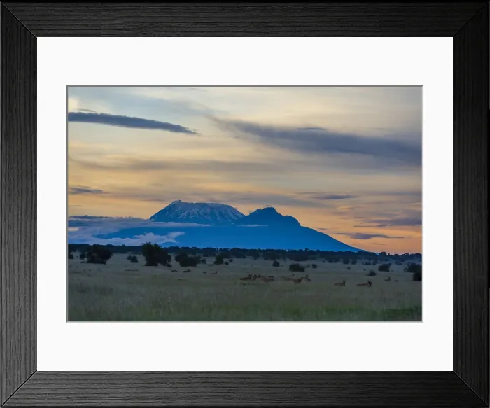 Framed Print : View of Mount Kilimanjaro from Tsavo, Kenya, East Africa, Africa Framed Print : View of Mount Kilimanjaro from Tsavo, Kenya, East Africa, Africa