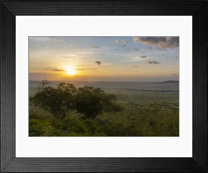 Framed Print : Lualenyi, Tsavo Conservation Area, Kenya, East Africa, Africa Framed Print : Lualenyi, Tsavo Conservation Area, Kenya, East Africa, Africa