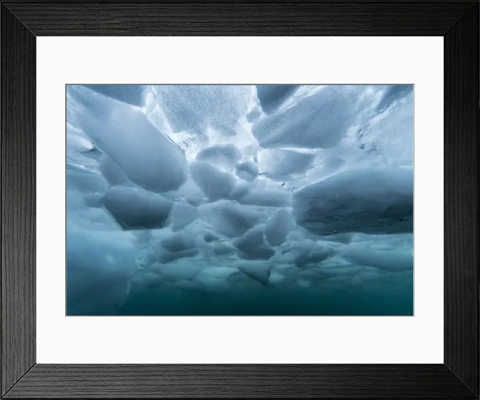 Framed Print : Underwater view of dense brash ice at Cuverville Island, Ererra Channel, Antarctica Framed Print : Underwater view of dense brash ice at Cuverville Island, Ererra Channel, Antarctica