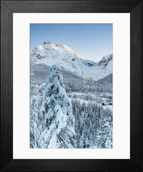 Framed Print : Trees covered with snow in the forest surrounding old Tarasp Castle and mountains Framed Print : Trees covered with snow in the forest surrounding old Tarasp Castle and mountains