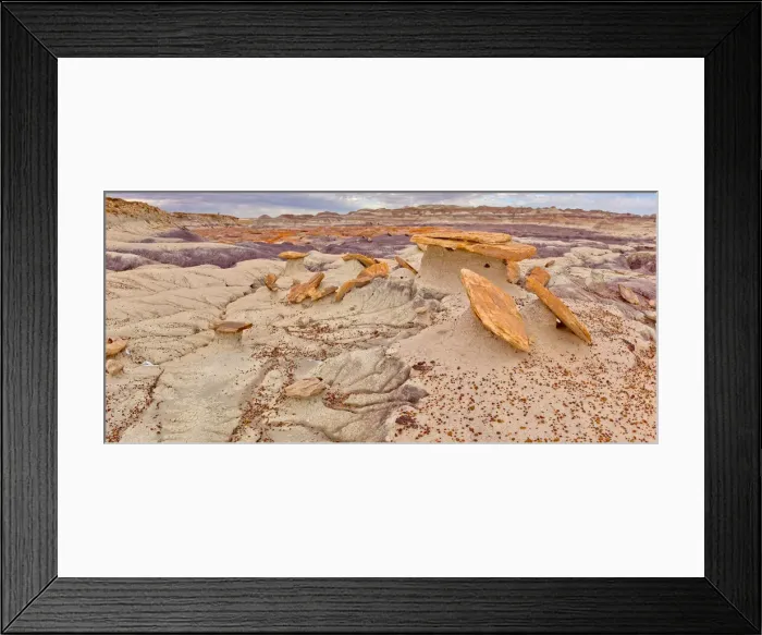 Framed Print : Sand Castle formations on the edge of the Red Basin in Petrified Forest National Park Framed Print : Sand Castle formations on the edge of the Red Basin in Petrified Forest National Park