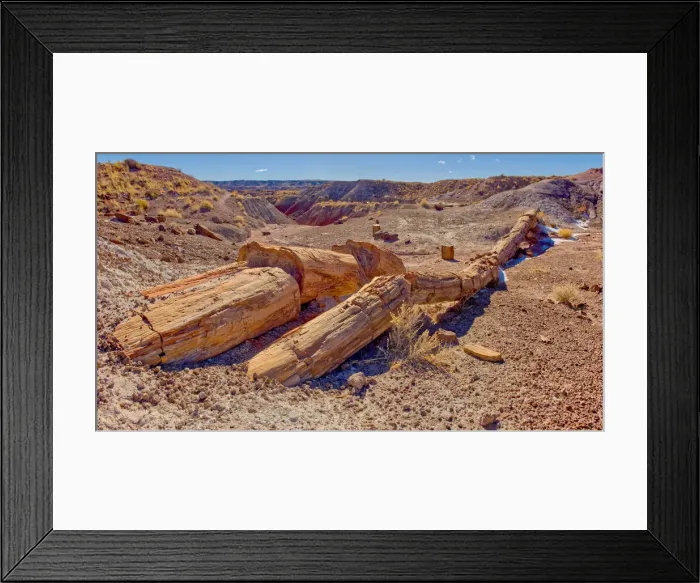 Framed Print : One of the few petrified trees almost intact, The Onyx Bridge in Petrified Forest Framed Print : One of the few petrified trees almost intact, The Onyx Bridge in Petrified Forest