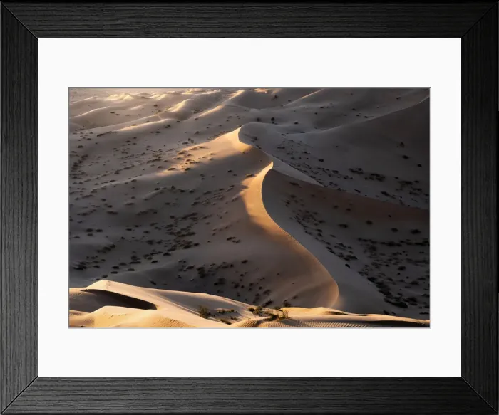 Framed Print : Sunset light on the sand dunes of Rub al Khali desert, Oman, Middle East Framed Print : Sunset light on the sand dunes of Rub al Khali desert, Oman, Middle East