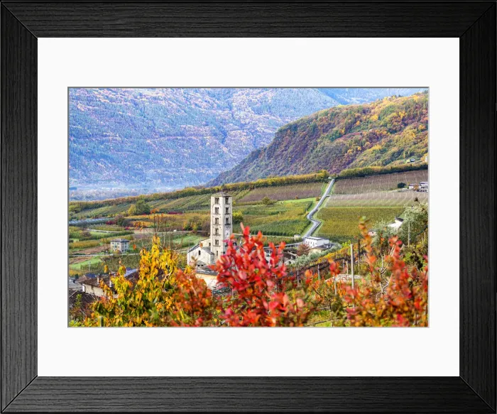 Framed Print : Rural church in the vineyards and apple orchards, Valtellina, Lombardy, Italy, Europe Framed Print : Rural church in the vineyards and apple orchards, Valtellina, Lombardy, Italy, Europe