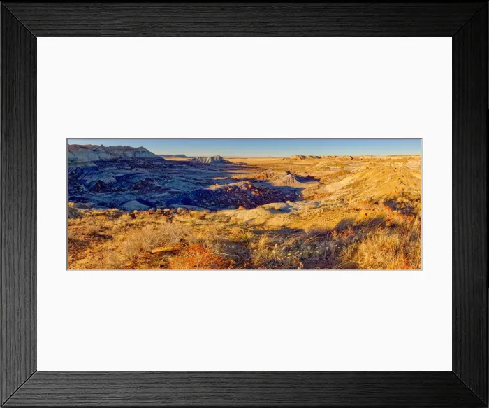 Framed Print : Panorama of the First Forest in Petrified Forest National Park, Arizona Framed Print : Panorama of the First Forest in Petrified Forest National Park, Arizona