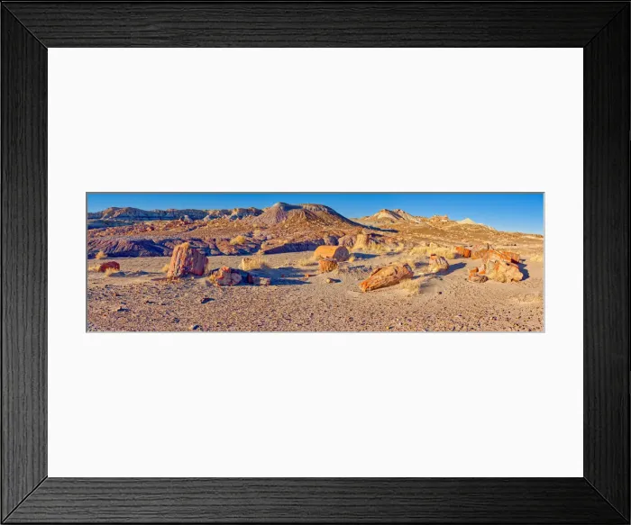 Framed Print : Petrified Wood in the First Forest of Petrified Forest National Park, Arizona Framed Print : Petrified Wood in the First Forest of Petrified Forest National Park, Arizona