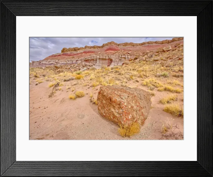 Framed Print : One of many fossil filled boulders in the Clam Beds along Red Basin Trail in Petrified Framed Print : One of many fossil filled boulders in the Clam Beds along Red Basin Trail in Petrified