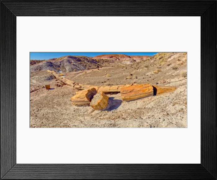 Framed Print : One of the few petrified trees almost intact, The Onyx Bridge in Petrified Forest Framed Print : One of the few petrified trees almost intact, The Onyx Bridge in Petrified Forest