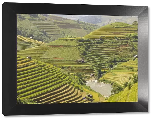Rice terraces in Mu Cang Chai, Vietnam, Indochina, Southeast Asia, Asia