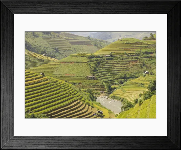 Framed Print : Rice terraces in Mu Cang Chai, Vietnam, Indochina, Southeast Asia, Asia Framed Print : Rice terraces in Mu Cang Chai, Vietnam, Indochina, Southeast Asia, Asia