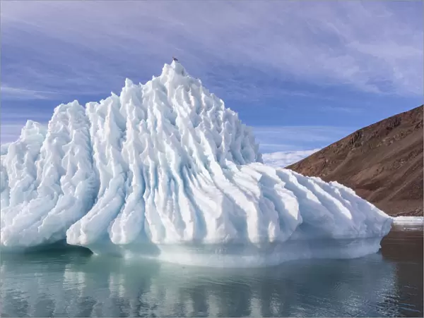 Iceberg calved from glacier from the Greenland Icecap in Bowdoin Fjord, Inglefield Gulf