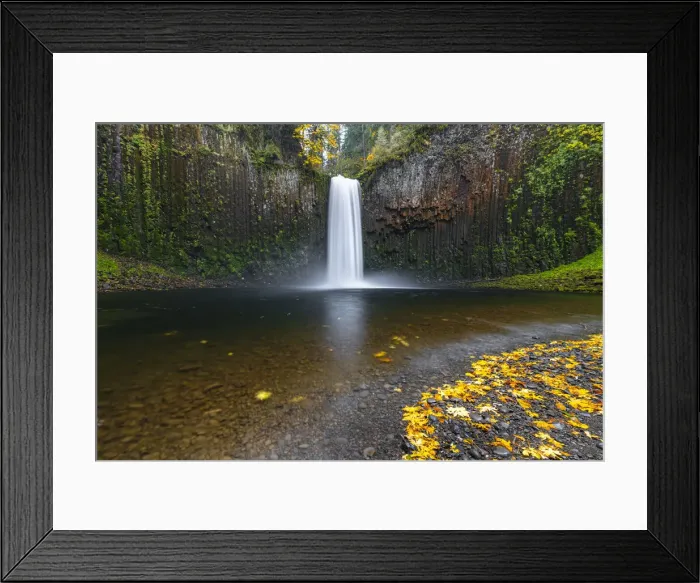 Framed Print : Abiqua Falls in autumn, Scotts Mills, Marion county, Oregon, United States of America Framed Print : Abiqua Falls in autumn, Scotts Mills, Marion county, Oregon, United States of America