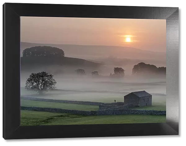 Fields and barn at sunrise, looking northeast from Hawes, Yorkshire Dales National Park