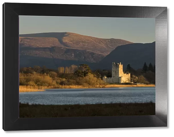 Ross Castle in the evening sunlight, Killarney, County Kerry, Munster